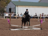 2014 11 09 HorseShow